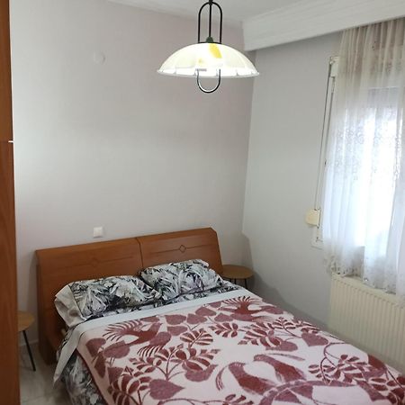 Apartment Marios Soufli Ευρύχωρη Γκαρσονιέρα, 60M2 Στο Κέντρο Souflíon Exteriér fotografie